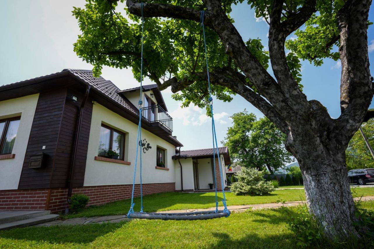 Chalet Bora Viseu de Jos Exterior photo