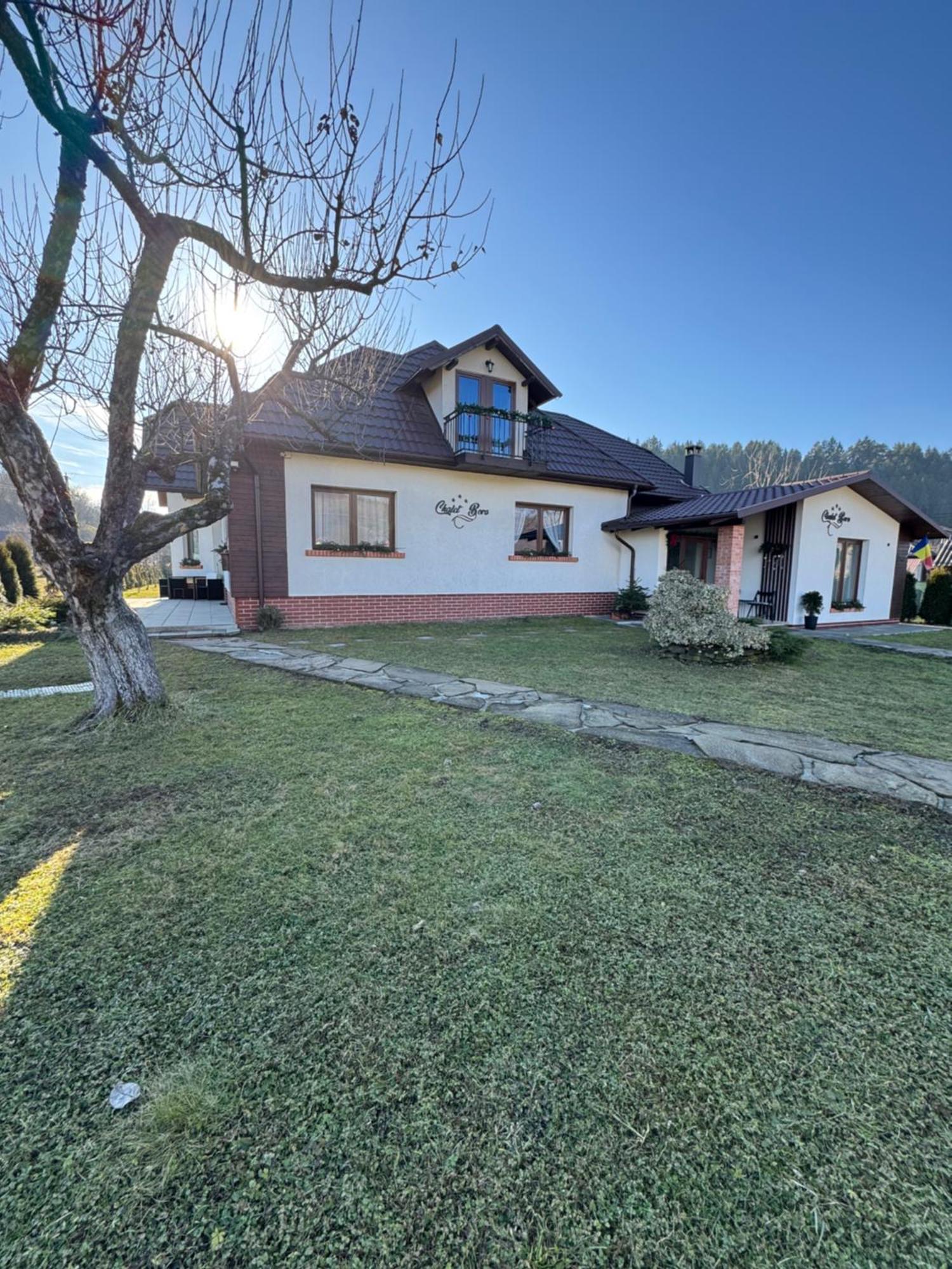 Chalet Bora Viseu de Jos Exterior photo
