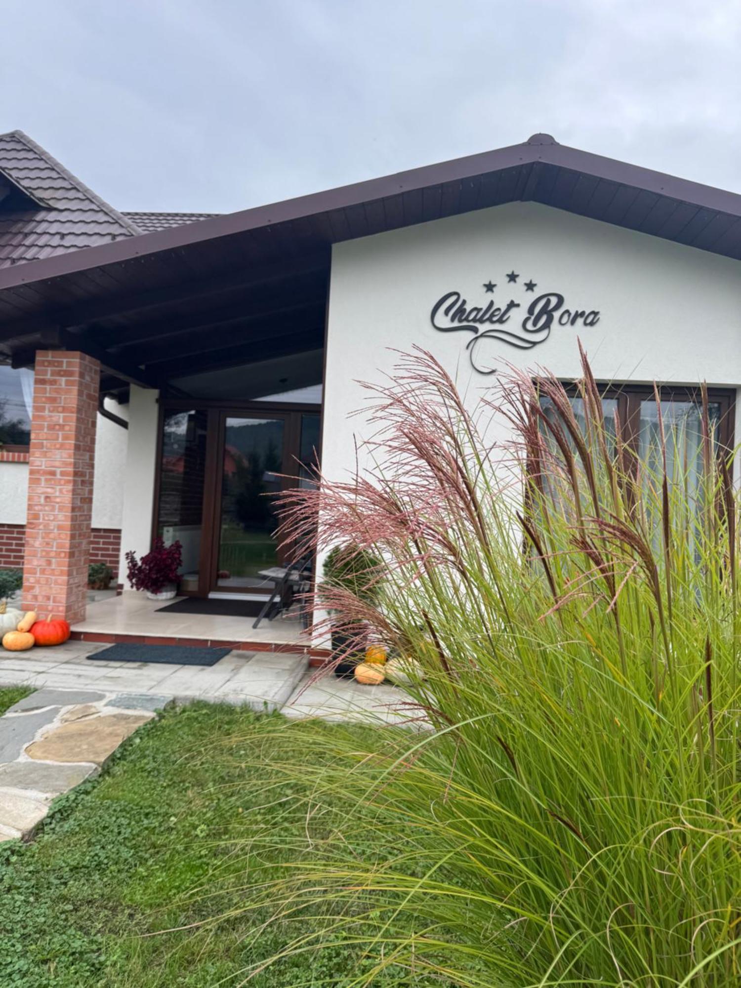 Chalet Bora Viseu de Jos Exterior photo