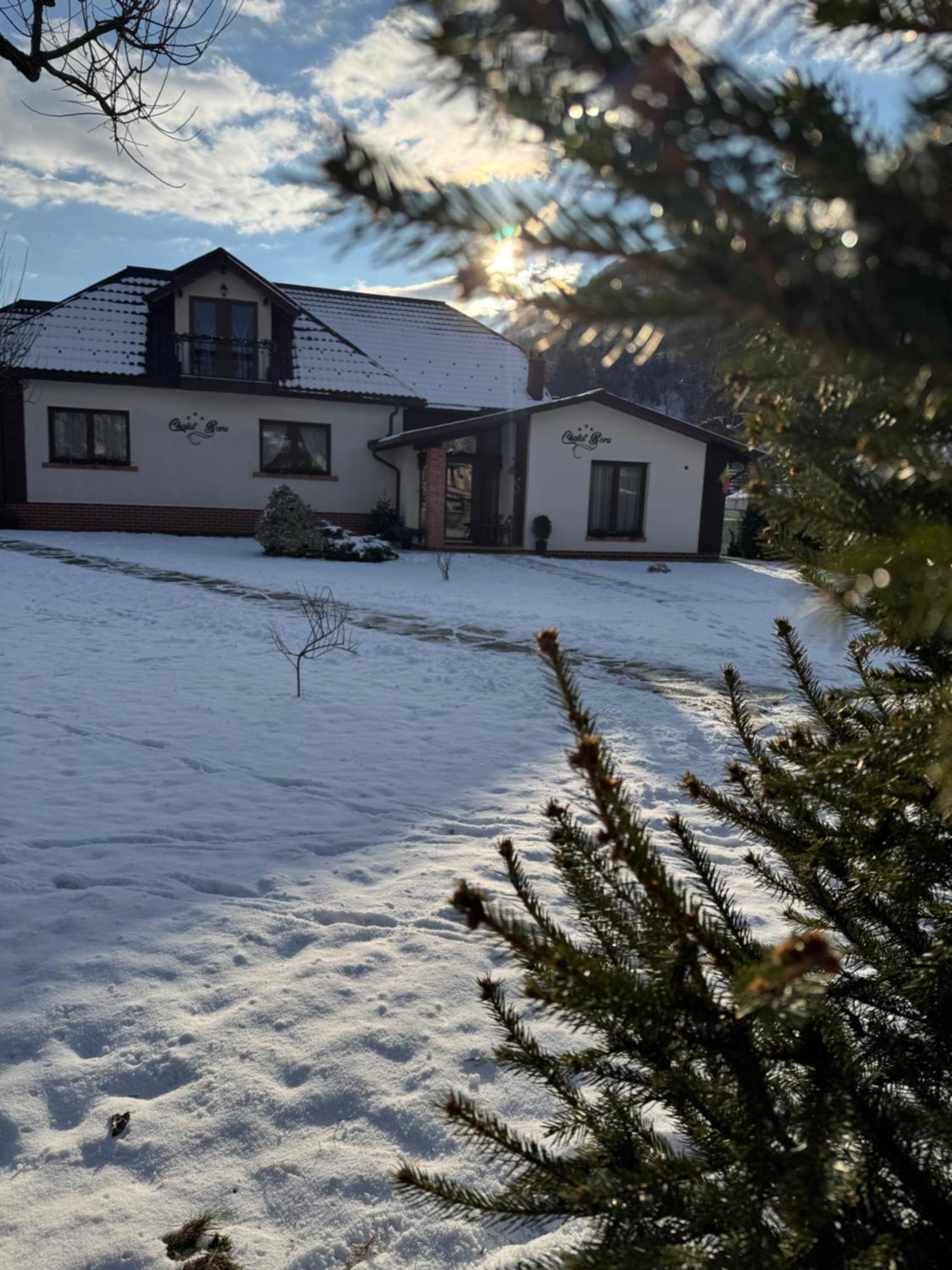 Chalet Bora Viseu de Jos Exterior photo