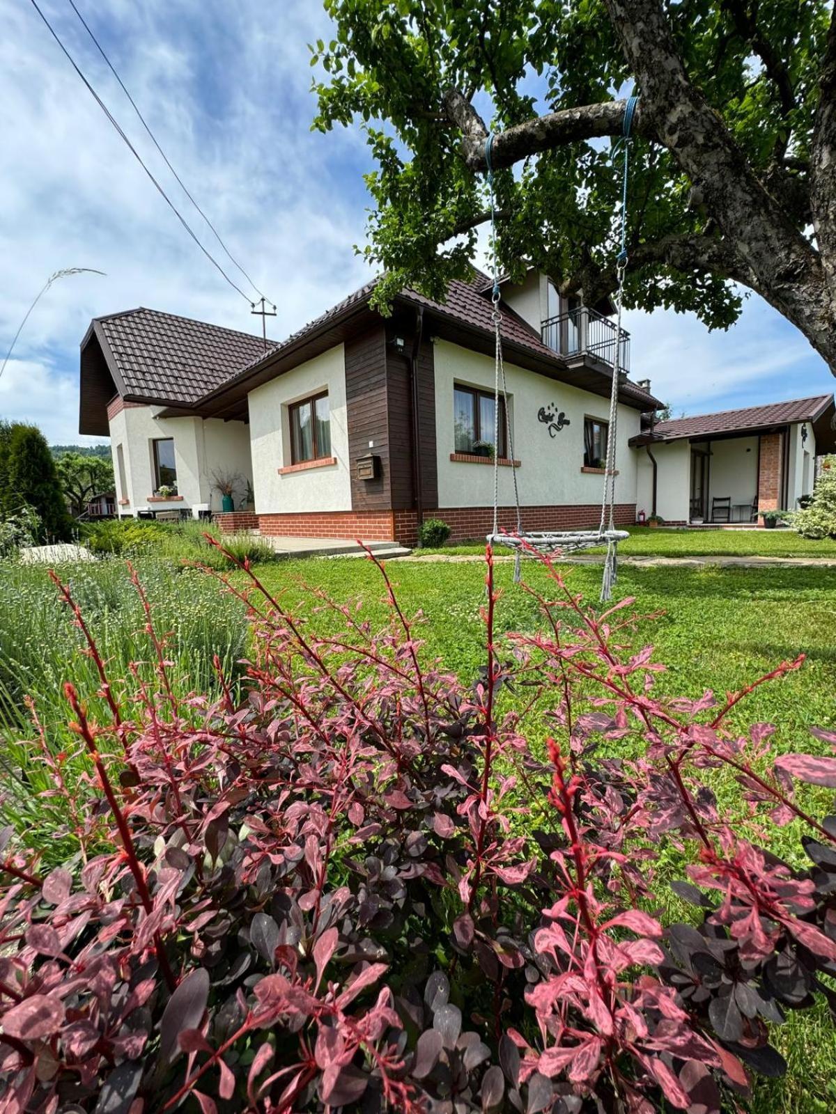 Chalet Bora Viseu de Jos Exterior photo
