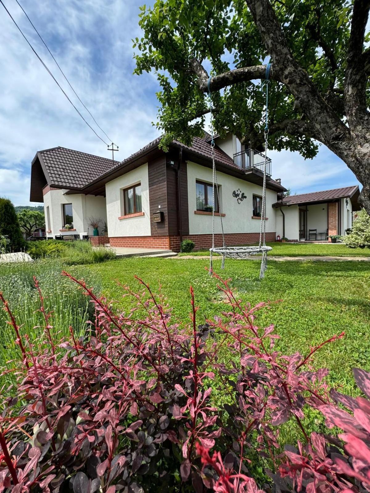 Chalet Bora Viseu de Jos Exterior photo