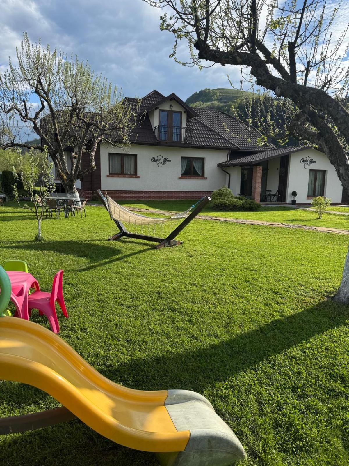 Chalet Bora Viseu de Jos Exterior photo